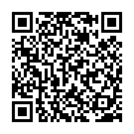 QR code for LNY499