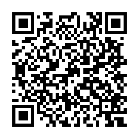 QR code for LOO509