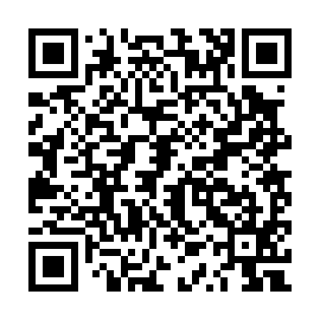QR code for LQR095