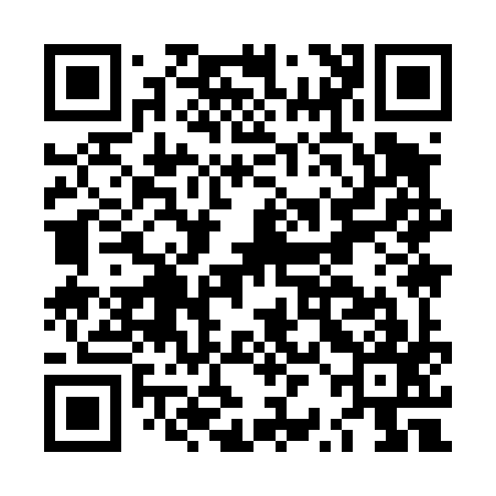 QR code for LRI497