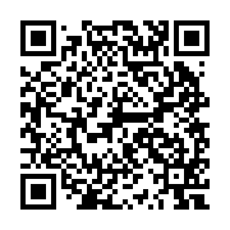 QR code for LRR295