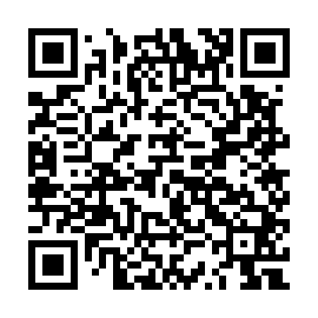 QR code for LSG540
