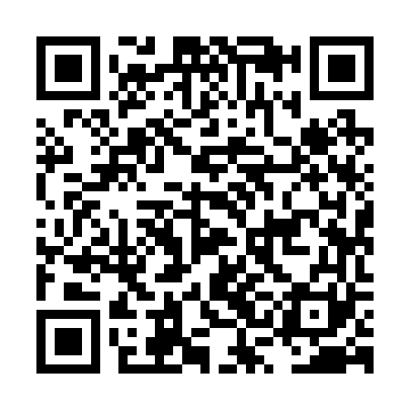 QR code for LSI261