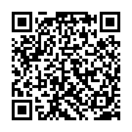 QR code for LSY295