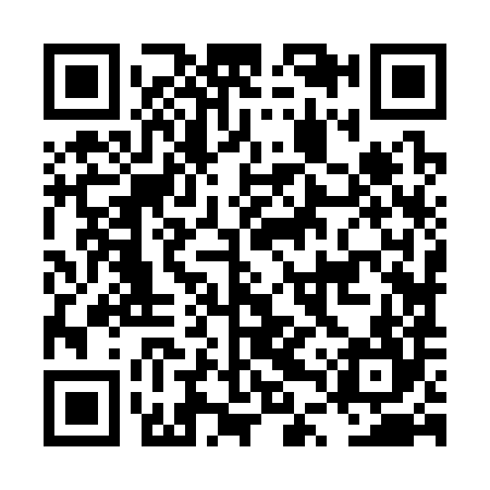 QR code for LTZ384