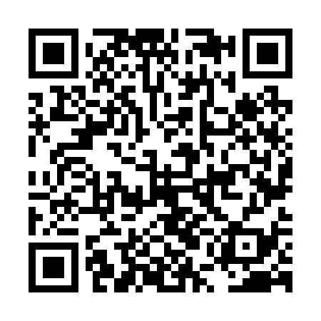 QR code for LUN239