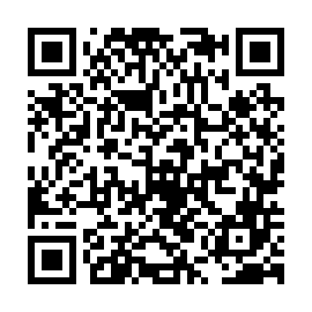 QR code for LUN246