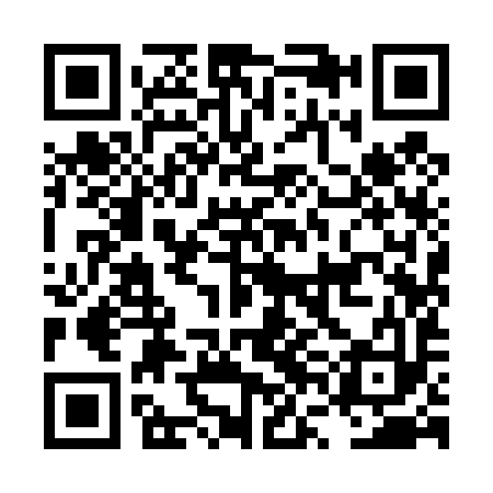QR code for LVI493