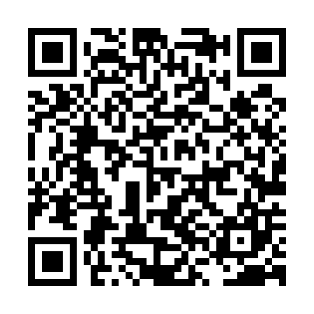 QR code for LVL507
