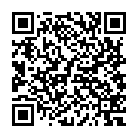 QR code for LWV919