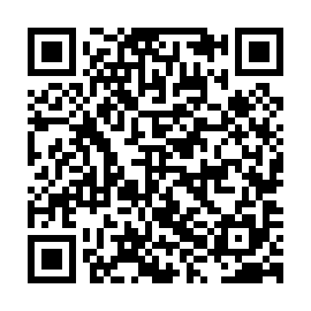 QR code for LXN095