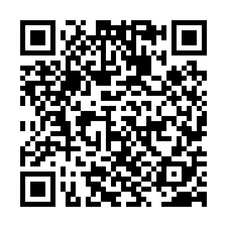 QR code for LYN208