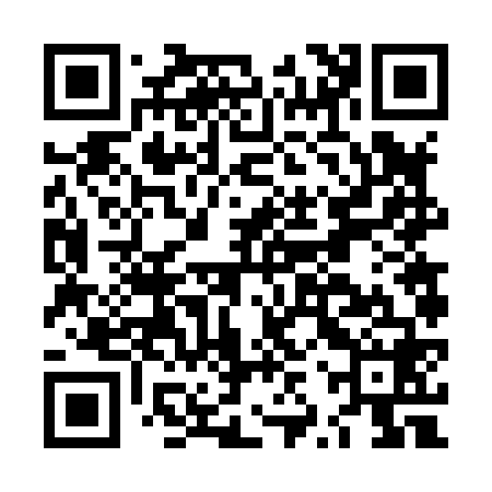 QR code for LZV868