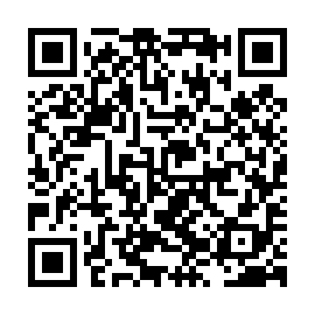 QR code for LZW498