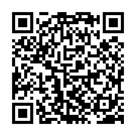 QR code for LZZ531