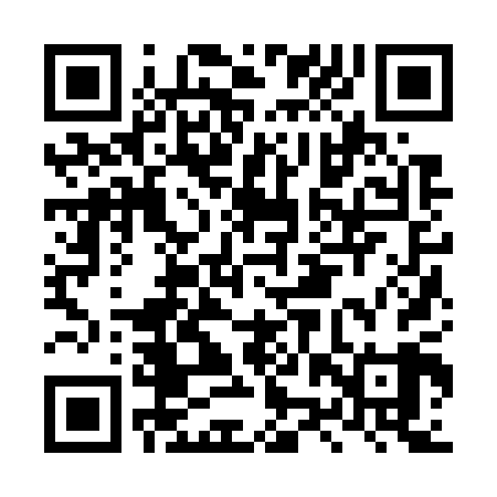 QR code for LZZ709