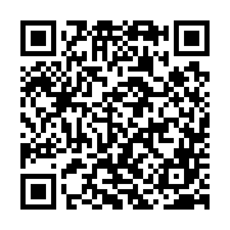 QR code for MAV746