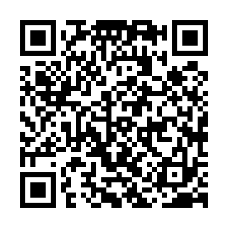 QR code for MAX533