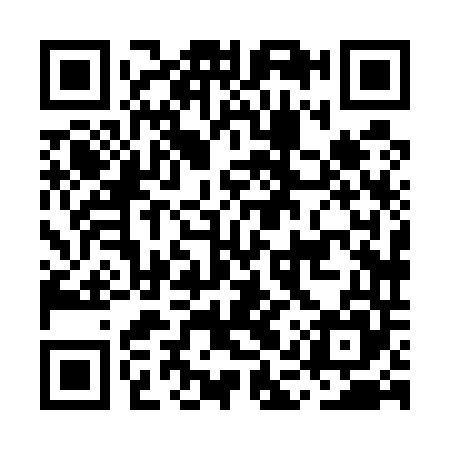 QR code for MAX545