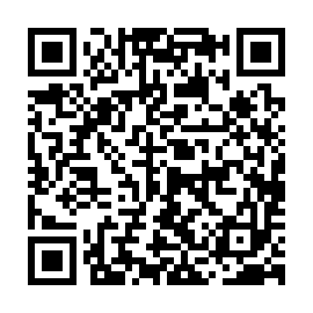 QR code for MCP393