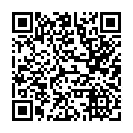 QR code for MCP397