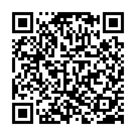 QR code for MDG309