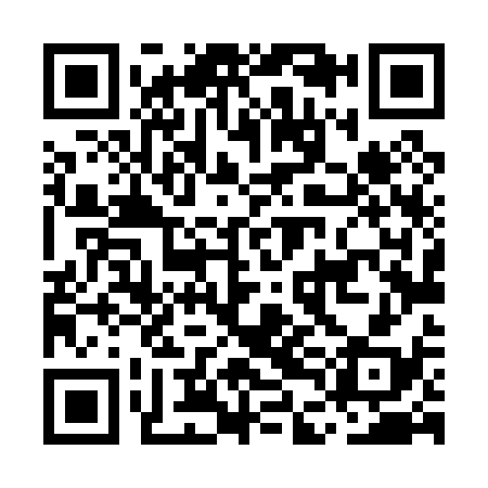 QR code for MDL038