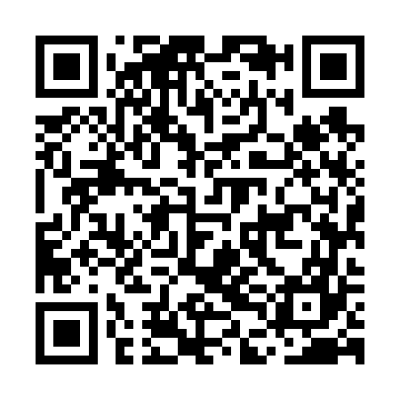 QR code for MDM667