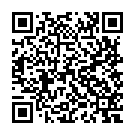 QR code for MEG913