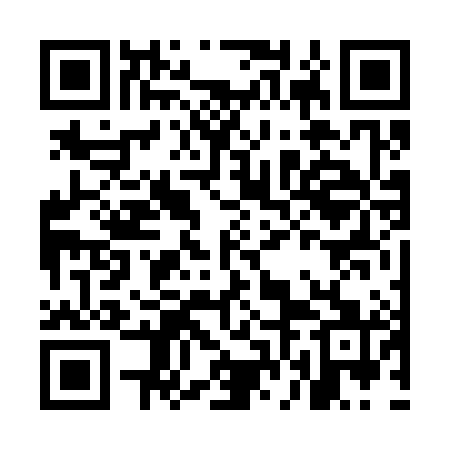 QR code for MFF381