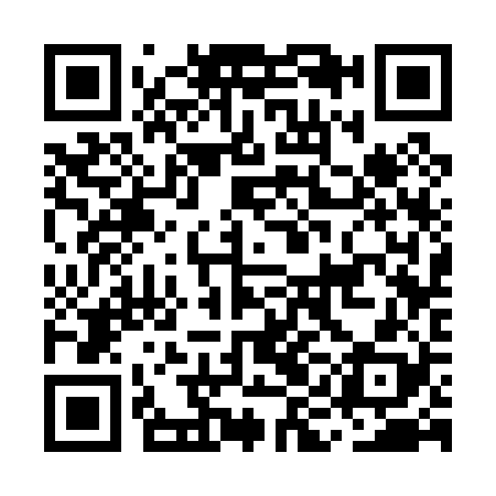 QR code for MIC028