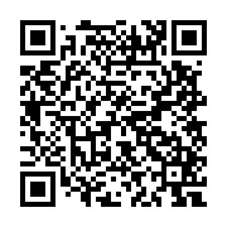QR code for MIR545