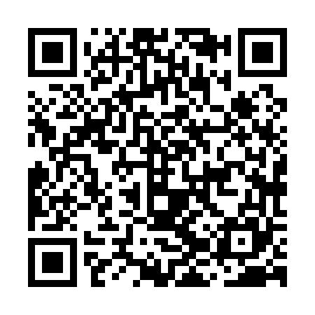 QR code for MJX165