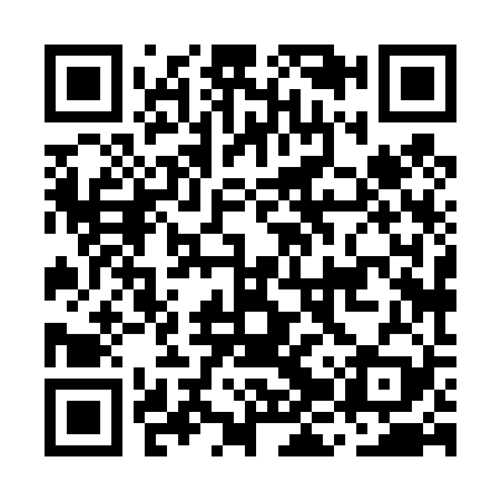 QR code for MJX429