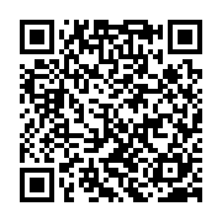 QR code for MMG325
