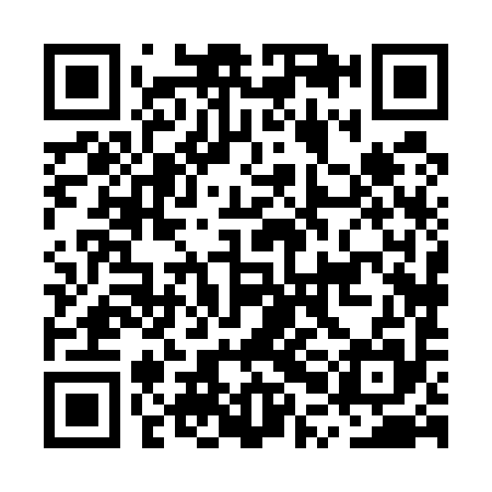 QR code for MPH595