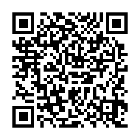 QR code for MPL333