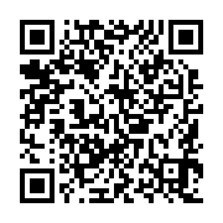 QR code for MRI291