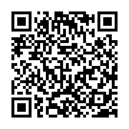 QR code for MSH338