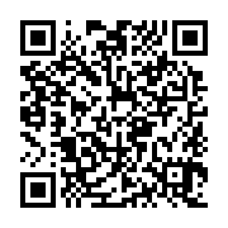 QR code for NAN385