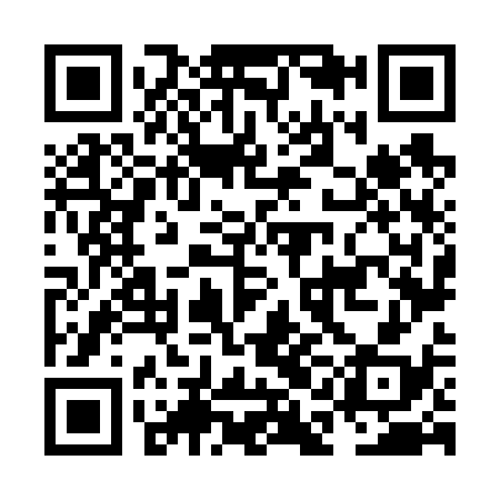 QR code for NAN638