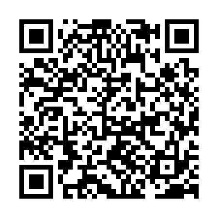 QR code for NFM333
