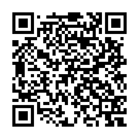 QR code for NIC533