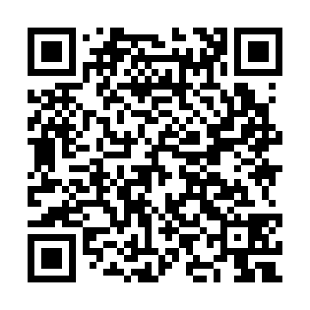 QR code for NII338