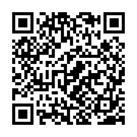 QR code for NIN173