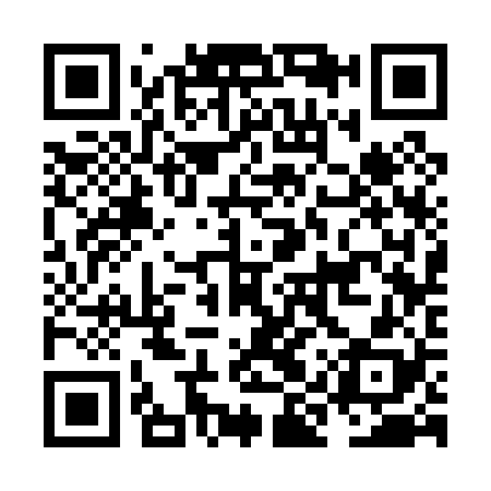 QR code for NIS028