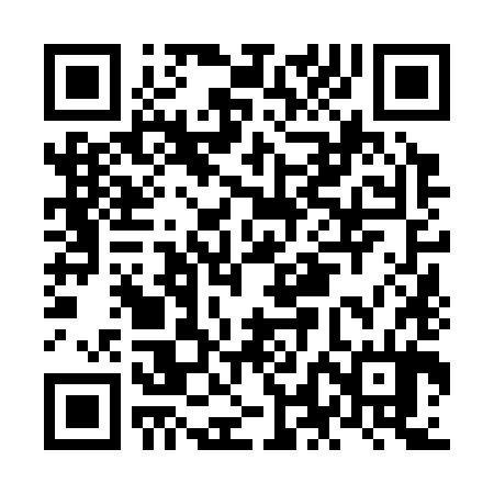 QR code for NLN384