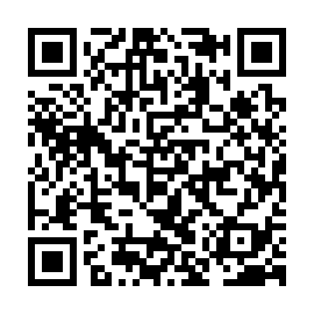 QR code for NMU339