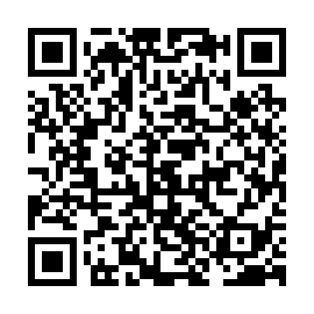 QR code for NNE239