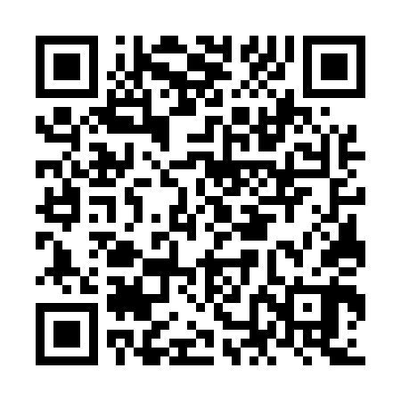 QR code for NNG540